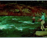 Fishing in Streams of Catskill Mountains New York NY UNP Chrome Postcard... - $2.92