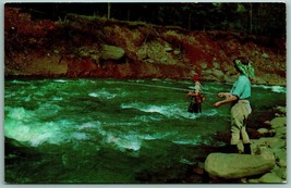 Fishing in Streams of Catskill Mountains New York NY UNP Chrome Postcard I14 - £2.32 GBP