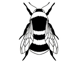 Bumble Bee Vinyl Decal Window Sticker Laptop, Window, Bottle - £2.55 GBP+