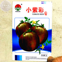 300 Seeds Purple Black Round Chicago Tomato Organic Fresh Seeds for Planting - $11.99