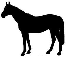 Thoroughbred Horse Equine Decal Black Silhouette Profile Sticker on a Cl... - £3.19 GBP