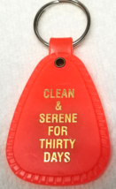 Clean Serene 30 Days Keychain Narcotics Anonymous Logo Orange Plastic Vintage - £9.72 GBP