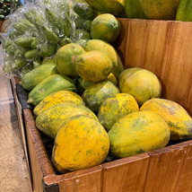 25 Samba Papaya Seeds Fresh Seeds USA - £7.91 GBP