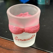 Bermuda Pink Bikini Top Shot Glass Bust Frosted - $12.86