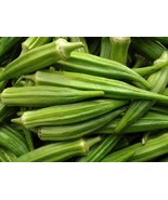 Fresh 400+ Clemson Spineless Okra Seeds Non-Gmo Bendi Cow Horn Jambalaya - $28.42