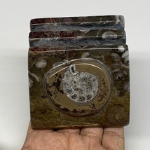 494g, 2.9&quot; x 2.9&quot; x 1.9&quot; Fossils Orthoceras Ammonite Business Card Holder,B8094 - £11.22 GBP