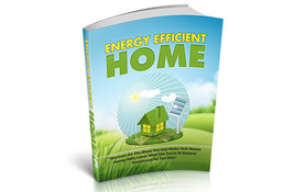 Energy Efficient Home( Buy it get other  free) - $2.00
