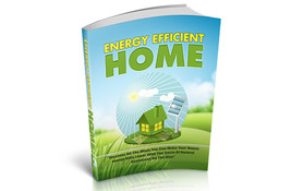 Energy Efficient Home( Buy it get other  free) - £1.49 GBP