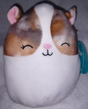 Squishmallows PAX the Hamster 7.5&quot; NWT - £10.99 GBP