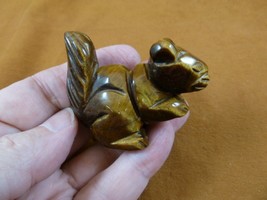 Y-SQU-723) little brown Tiger&#39;s eye SQUIRREL gemstone carving figurine s... - $17.53