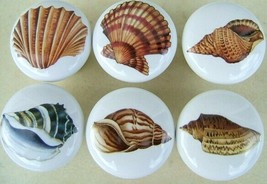 Seashell Cabinet Knobs W/ #5 @Pretty@ SEA SHELL (6) - £19.94 GBP