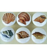 Seashell Cabinet Knobs W/ #5 @Pretty@ SEA SHELL (6) - £20.00 GBP