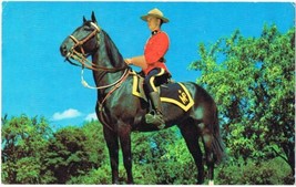 Ontario Postcard RCMP Royal Canadian Mounted Police On Horse Falls 5.5 x 8.5 - £1.64 GBP