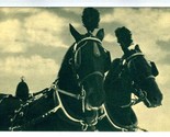 Black Beauties Horse Team Postcard Mackinac Island Michigan  - £13.92 GBP