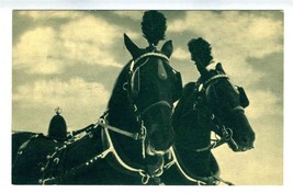Black Beauties Horse Team Postcard Mackinac Island Michigan  - £13.93 GBP