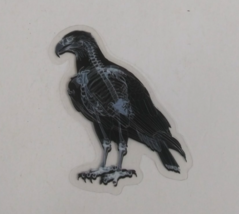 Eagle X-Ray Transparent Sticker 2.25&quot; x 2.18&quot; (L) - $1.64
