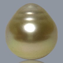 Teardrop 13.6 x 14.8mm 18.5 Carat Natural Gold Philippines South Sea Loose Pearl - £103.72 GBP