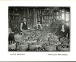 Vtg Postcard 1913 Winslow Arkansas AR - Apple Packing M13 - $41.53