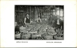 Vtg Postcard 1913 Winslow Arkansas AR - Apple Packing M13 - £32.68 GBP