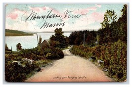 Road to Rangely Lake Maine ME DB Postcard Y7 - £3.91 GBP