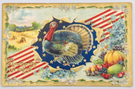Antique 1910 Embossed Patriotic USA Flag Thanksgiving Turkey Postcard - £9.66 GBP