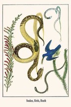 Snakes, Birds, Heath - $19.97