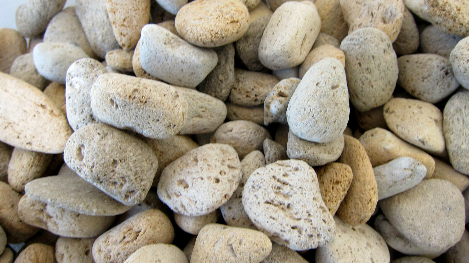 Three Pumice Beige Gray Volcanic Rocks 20-40mm Reiki Healing Crystal Neg... - $1.67