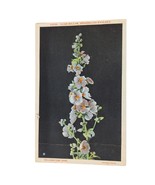 Postcard Globe Mallow Yellowstone Park Chrome Unposted - $4.84
