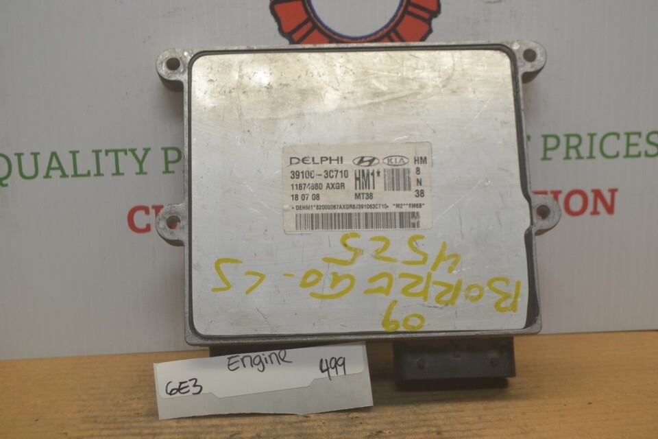391063C710 Kia Borrego Engine Control Unit ECU 2009-2010 Module 499-6E3 - $19.59