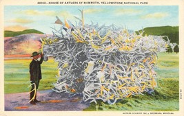 Wyoming Yellow Stone National Park House Of Antlers Postcard Linen L4 - £4.43 GBP