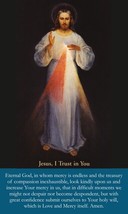 Divine Mercy Prayer Card, Jesus, I Trust in You, 3x5,  5-pack - £10.18 GBP