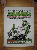 Zebrahead Affiche Sérigraphie Signé Numéroté Lucky Garçons Confusion Uni... - $90.05