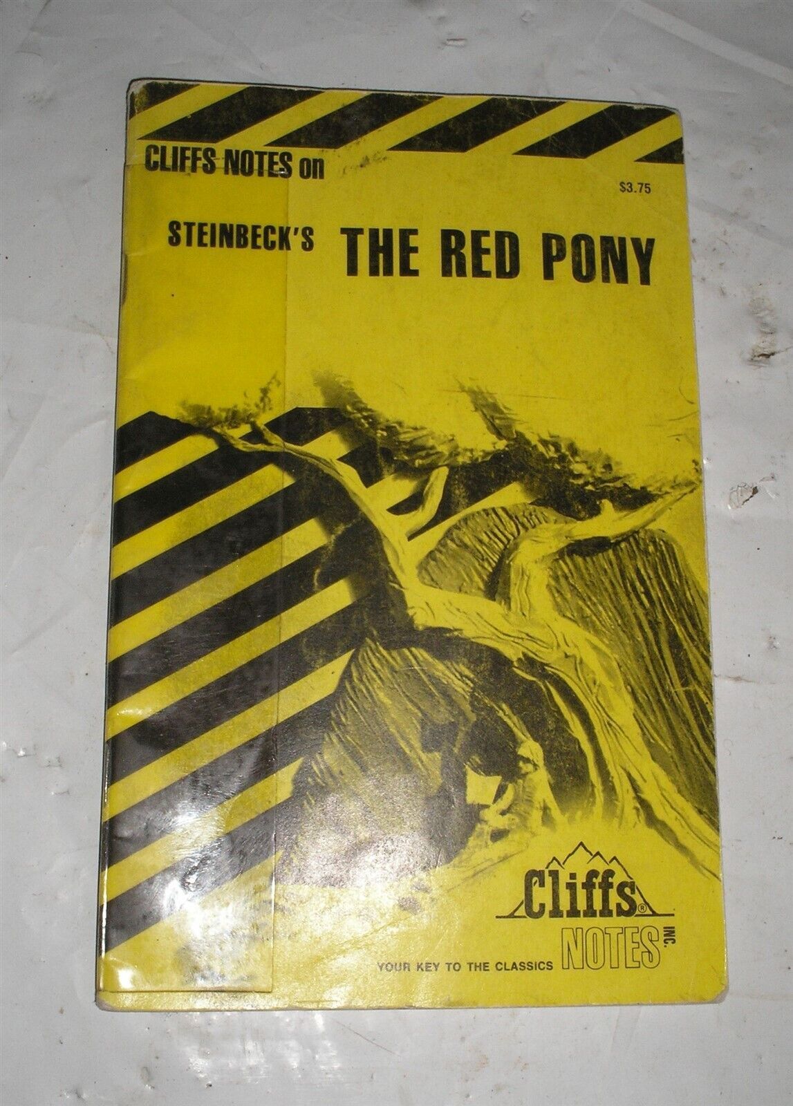 The Red Pony, Chrysanthemums and Flight by Cliffs Notes Staff (1978, Pap... - $4.51