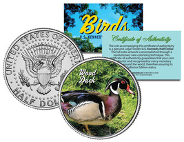 WOOD DUCK *Collectible Birds* JFK Kennedy Half Dollar Colorized US Coin ... - £6.71 GBP