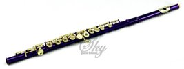 Sky Purple Lacquer Silver Keys Closed Hole C Flute with 1 Year Manufactu... - £119.61 GBP+