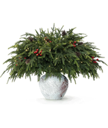 20-Piece Set 23" Christmas Norfolk Pine Branches with Lights - Battery O... - €35,57 EUR 20-Piece Set 23" Christmas Norfolk Pine Branches with Lights - Battery O... - €35,57 EUR