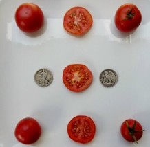 Item image 1 image 1