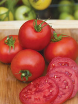 50 Seeds Cloudy Day Tomato Juicy Tomatoe Vegetable Garden  - $7.66