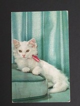 White Kitten Cat Wearing Ribbon Bow w/ Novelty Squeaker Vtg Postcard 1964 France - £11.79 GBP