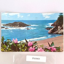 Wild Rhododendron Blooms 1960s Postcard Portland Oregon 1970 - $147.62 MXN