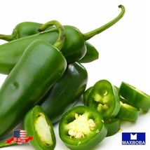 Nongmo 50 Hot Jalapeno Pepper Seeds M Heirloom Garden Us Seller - $3.98