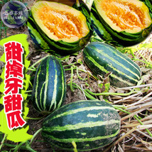 Sweet Melon Orange Inside Green Skin Fruit Seeds 70 Seeds Early Maturing... - $8.35