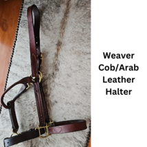 Weaver Cob - Arab Leather Halter Brass Fittings med oil with chain lead ... - £39.81 GBP