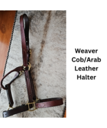 Weaver Cob - Arab Leather Halter Brass Fittings med oil with chain lead ... - £39.95 GBP