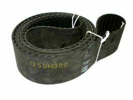 TIMING BELT 1250H300 POSITIVE DRIVE 125&quot; LENGTH 1/2&quot; PITCH 3&quot; WIDE - £65.04 GBP