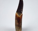 Small Hand Made Stag handle knife 3&quot; total home made - $36.62