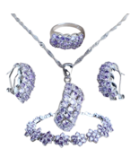 Anyco Jewelry Set 4Pcs Purple Oval Stone Zircon 925 Silver - $64.90+