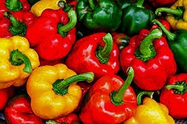 Bell Pepper, California Wonder Pepper Seeds, Heirloom,100 Seeds, Delicious Large - £2.33 GBP