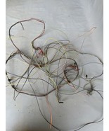 1966 1965 Ford Galaxie Taillight Tail Light Lamp Wiring Harness Taillamp... - $111.27
