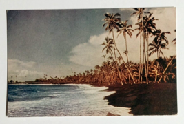 Kalapana Beach Black Volcanic Sand Palm Tree Hawaii HI Wesco Postcard c1940s C55 - £6.00 GBP